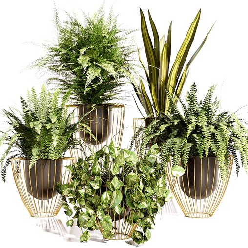 INDOOR PLANT SET 03