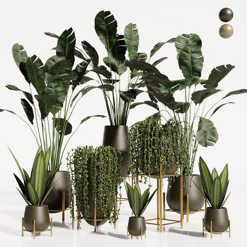 INDOOR PLANT SET 01