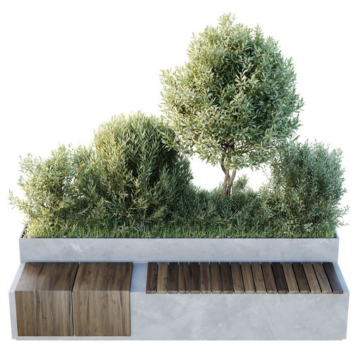 HQ Outdoor Plants Wilsonii Chemlali Olive Bench Set012