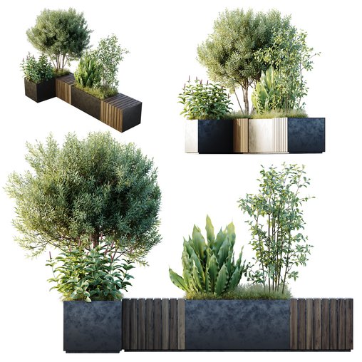 HQ Outdoor Plants Wilsonii Chemlali Olive Bench Set011