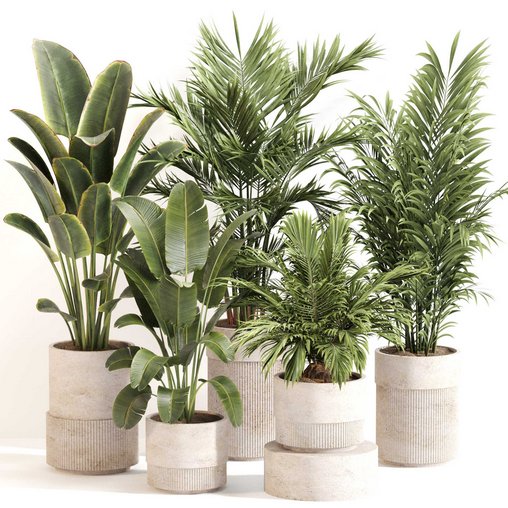 Indoor Plant Set 0112