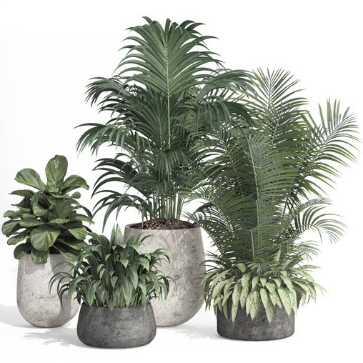 indoor plant set010 collection