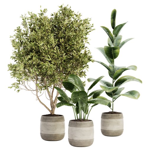 Indoor Plant Set 021