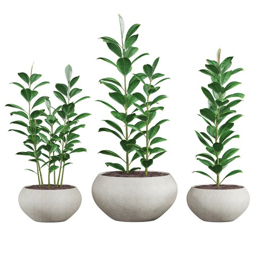 plants set 04 3d model Download  Buy 3dbrute