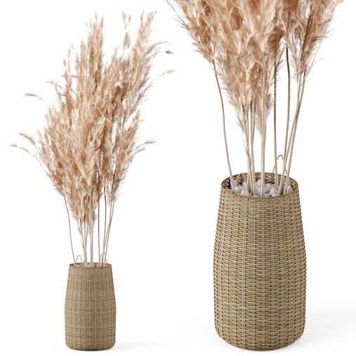 Pampas Decoration with Natural basket 3d model Download  Buy 3dbrute