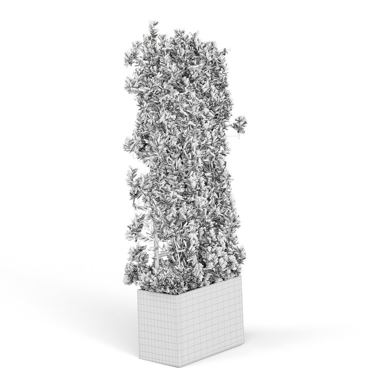 Botanical Planter 3d Model Buy Download 3dbrute Botanical planter 3d model buy download 3dbrute