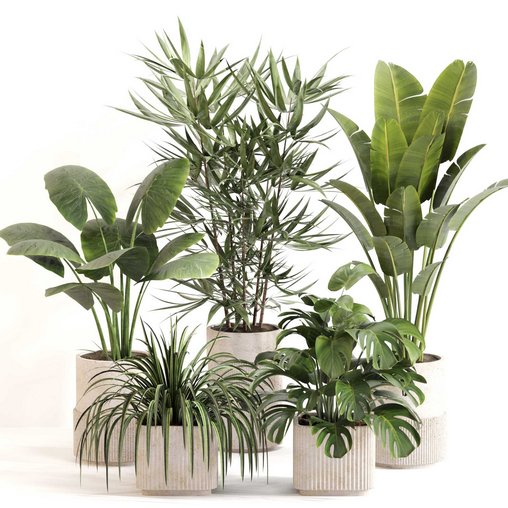 Indoor Plant Set 0108