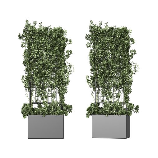 Botanical Planter 2