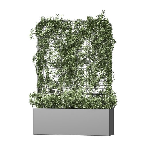 Botanical Planter 3