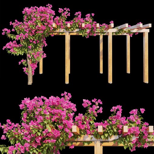 Bougainvillea 02 3d model Download  Buy 3dbrute