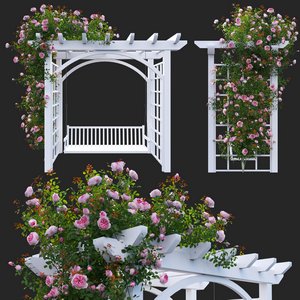 Climbing Rose 3d model Download  Buy 3dbrute