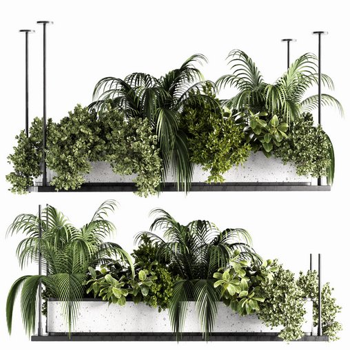 Indoorplants-Hanging plants set-64 3d model Download  Buy 3dbrute