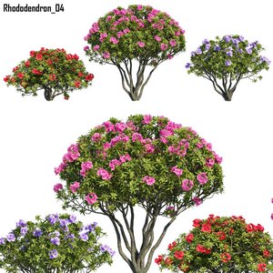 Rhododendron 04 3d model Download  Buy 3dbrute