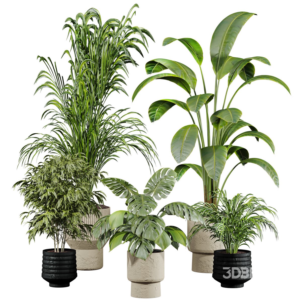 plants set