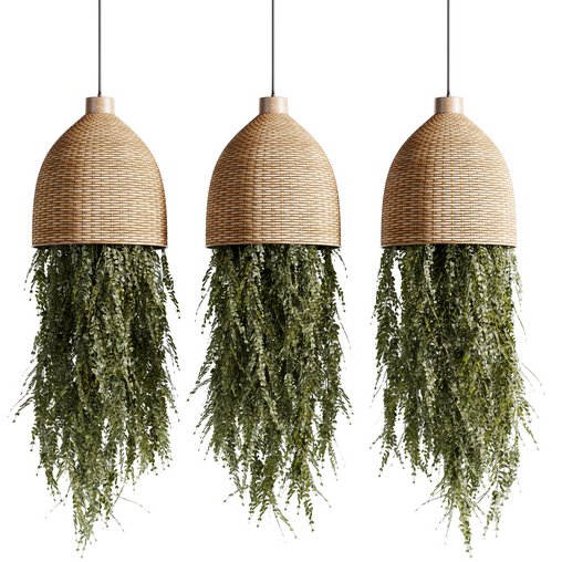 Indoorplants-Hanging plants set-81 3d model Download  Buy 3dbrute