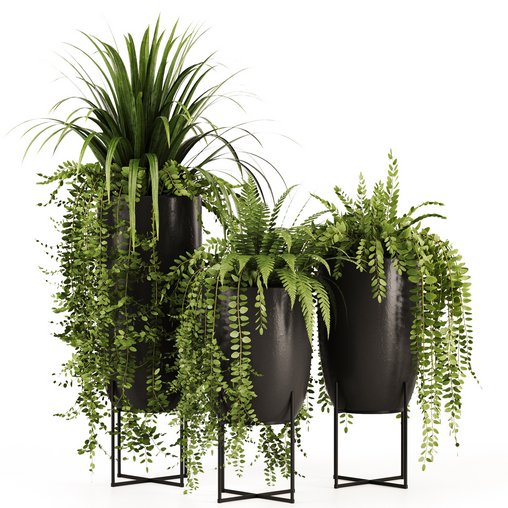 Indoorplants-149 3d model Download  Buy 3dbrute