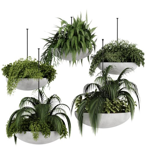 Indoorplants-Hanging plants set-82 3d model Download  Buy 3dbrute