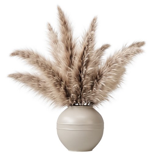 pampas grass in a vase