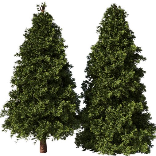 Pine Tree Set28 3d model Download  Buy 3dbrute