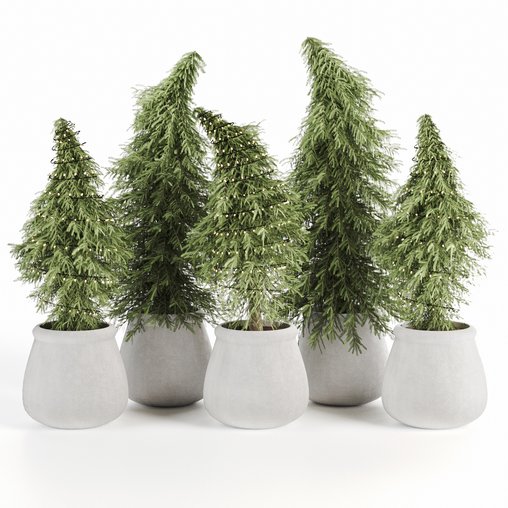 Christmas-trees-set06 3d model Download  Buy 3dbrute