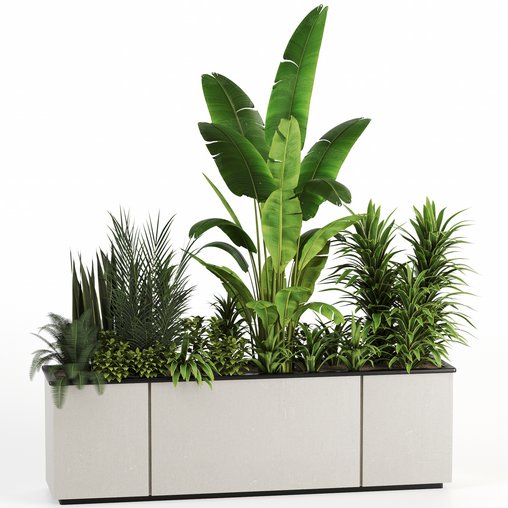 Indoorplants-Plants in Boxset150 3d model Download  Buy 3dbrute