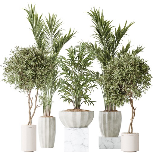 AV Indoor plants set 167 Artificial Olivo Olea Tree and Areca Majesty Cat Reed Palm and Lutescens Areca Palm