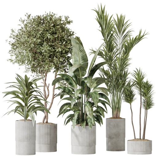AV Indoor plants set 183 Areca Majesty Palm and ParadiseBird and Lemon Lime Cane Dragon and Olive Artificial and Aloifolia Rostrata Palm