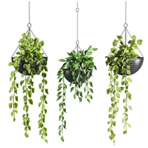 hanging plants set