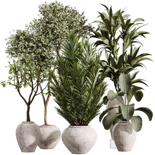 calathea - Download Free 3D Model Furniture - 3dbrute