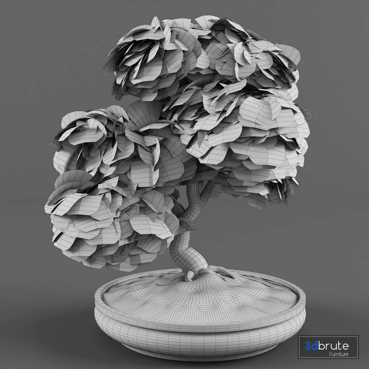 Bonsai Japanese Maple decorative tree 02 3d model Buy Download 3dbrute