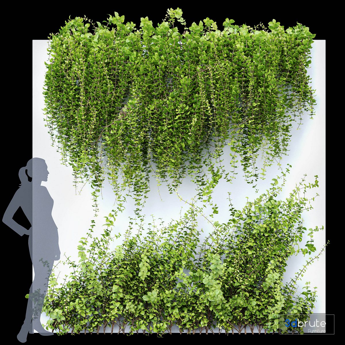 Wall Artificial Hanging Plants 01 3d Model Buy Download 3dbrute