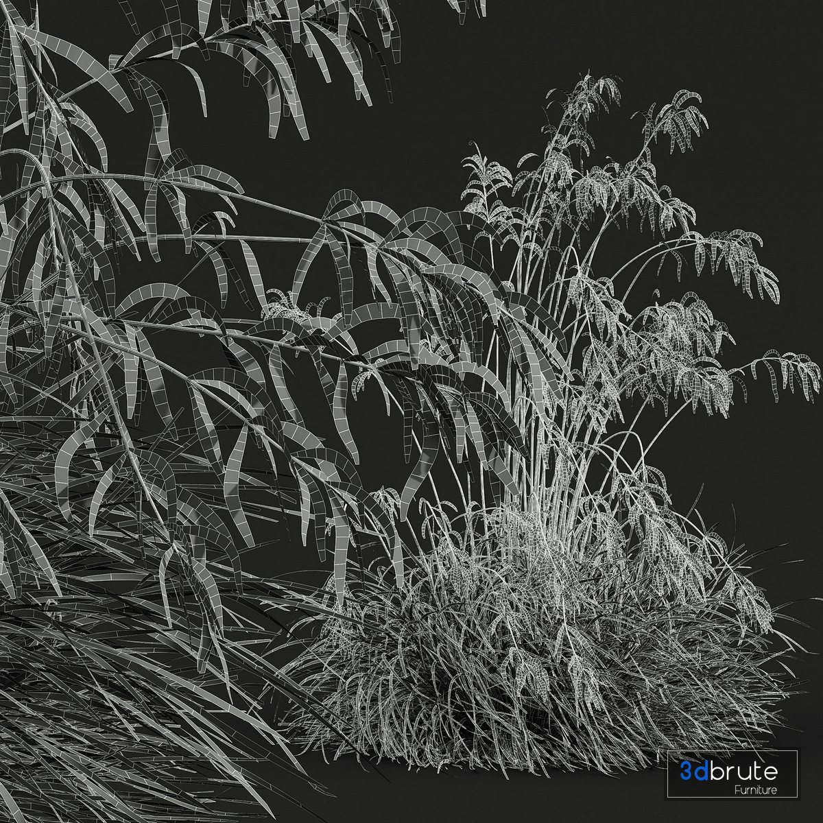 HQ Plants Stipa arundinacea Sweet Grass Windy 3d model Buy Download 3dbrute