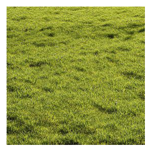 Meadow Lawn Grassland Set 010