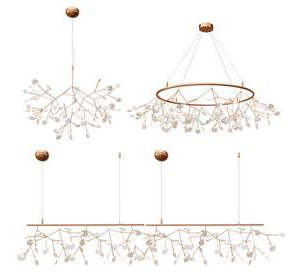 Heracleum & Endless - Moooi Collection