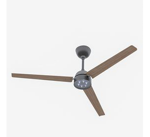 Ceiling Fan